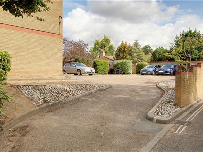 Picture 11